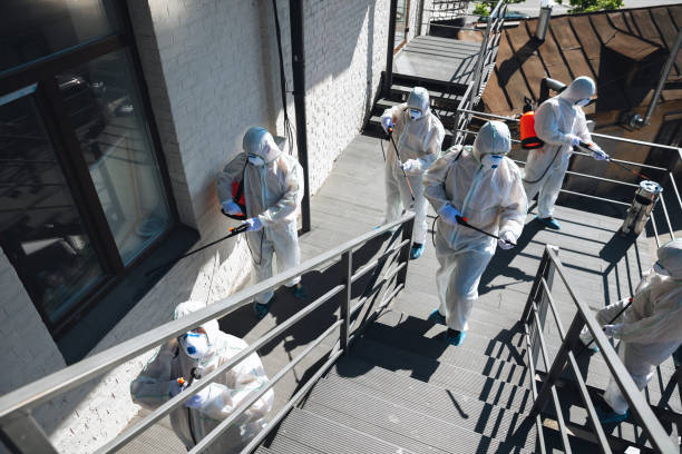 Best Mold Prevention Services  in Silver Bay, MN