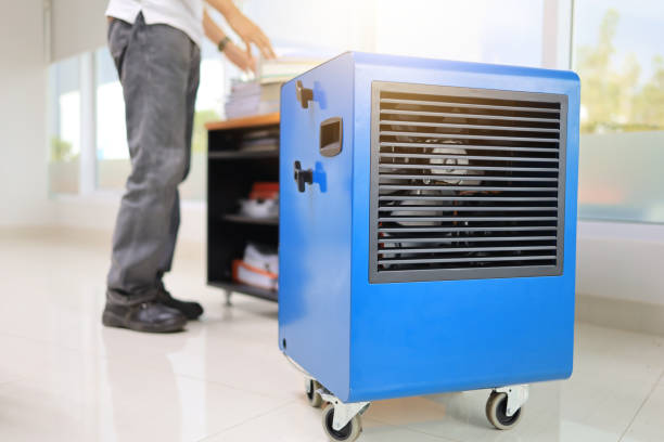 Best Dehumidification Services  in Silver Bay, MN