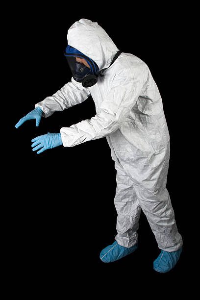 Best Black Mold Removal  in Silver Bay, MN